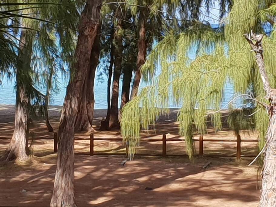 Apartment Beachfront Flic en Flac